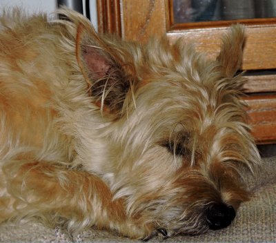 Exhausted Raffles July 10th 2015