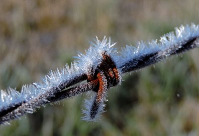Frost crystals on barbed wire October 4th 2015