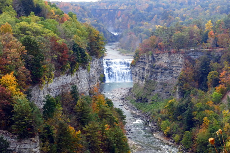 Upstate NY