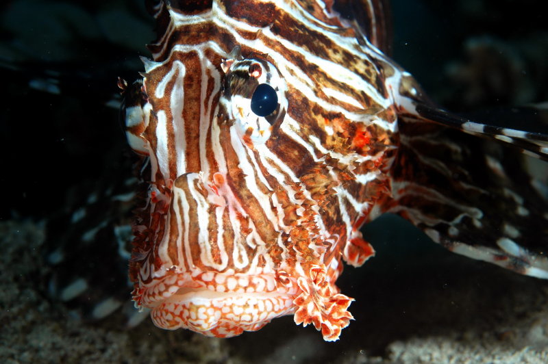 DSC_0348_resize.jpg