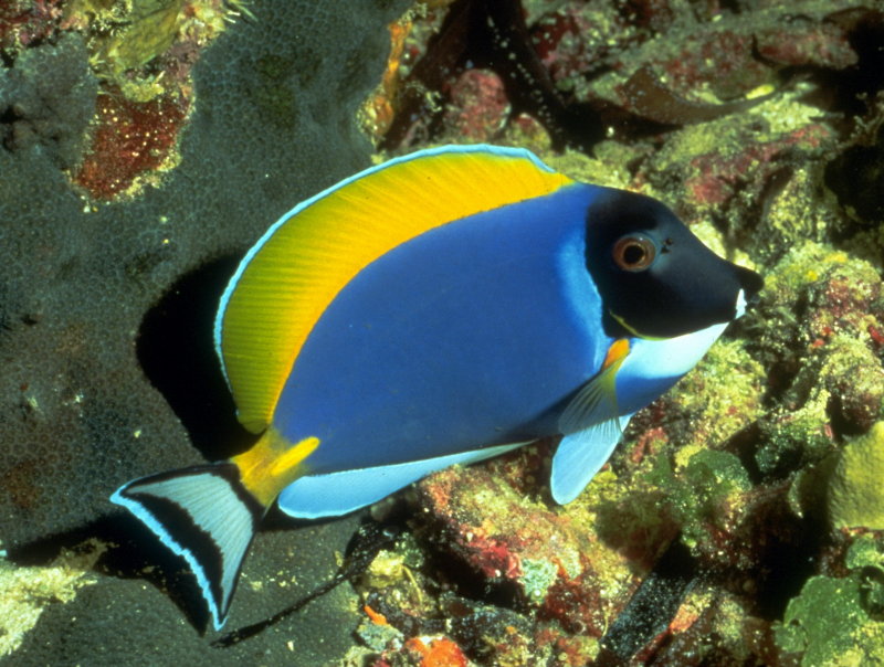 edIMG0087_resize.jpg