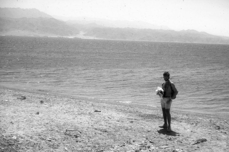 A Fantasea Life  50 years gallery 