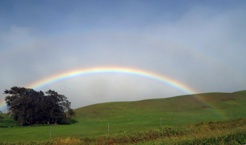 Hawaii the Big Island 2016