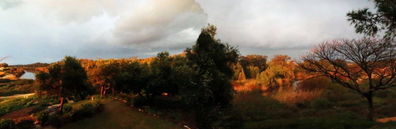 View from my window
