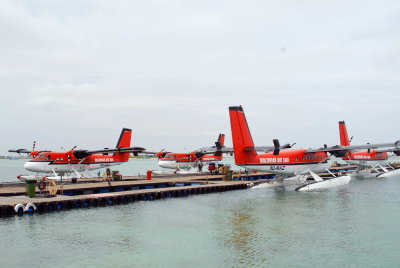 DSC_0148.JPG