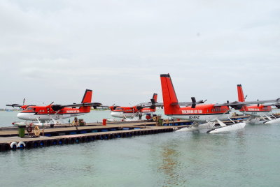 DSC_0148_resize.JPG