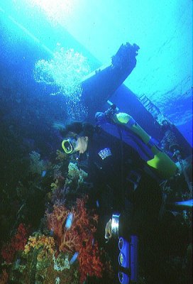 Diving the Yolanda wreck Ras Mohamed