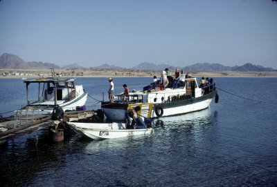Red Sea Diver fleet Sharem 1976