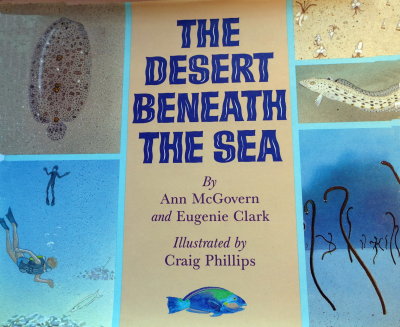 The Desert Beneath the Sea