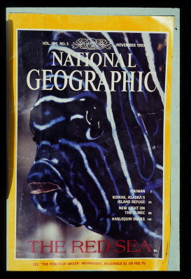 2022  Nat. Geo Red Sea Story Nov 1993 _resize.jpg