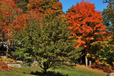 DSC_2706.jpg