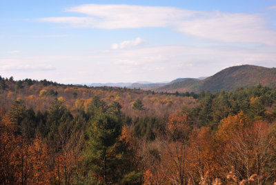 DSC_2710.jpg
