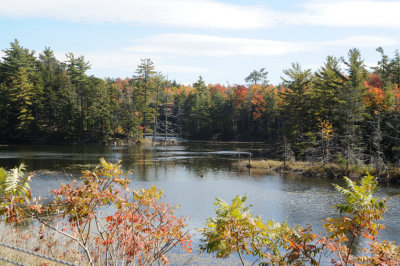 DSC_3306.jpg