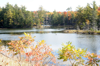 DSC_3308.jpg