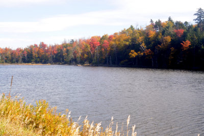 DSC_3309.jpg