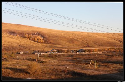 IMG_3701.jpg