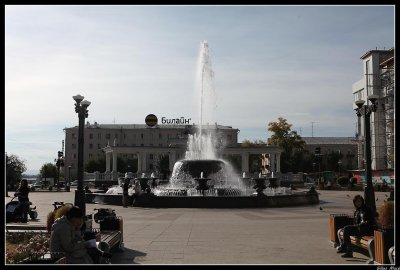 IMG_3730.jpg