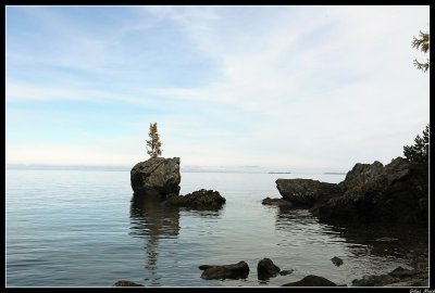 IMG_3759.jpg
