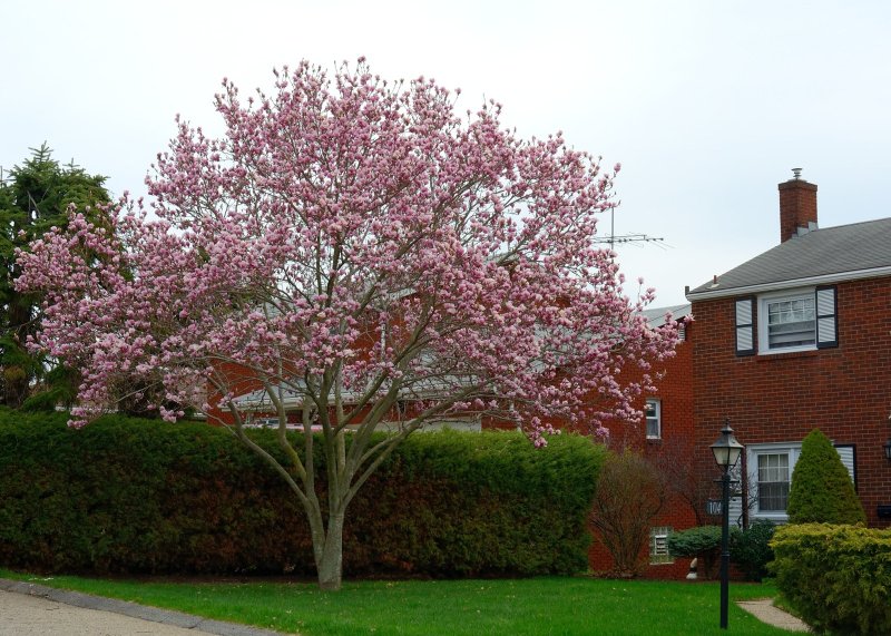 AAA_0292.jpg