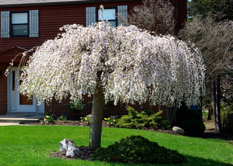 AAA_0357.jpg