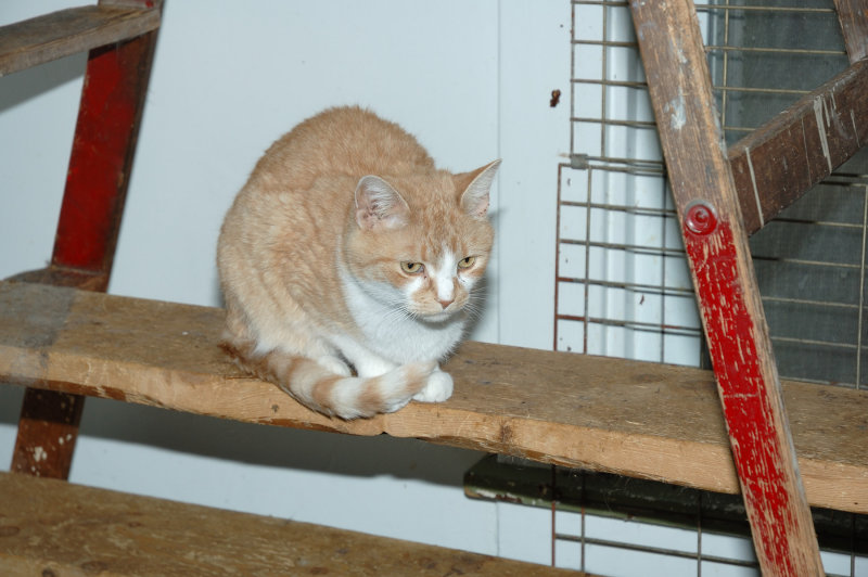 DSC_5389.JPG