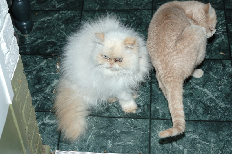 DSC_5392.JPG