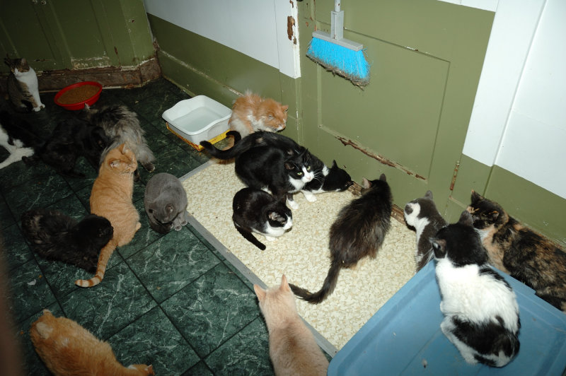 DSC_5396.JPG