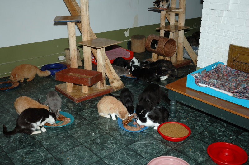 DSC_5440.JPG