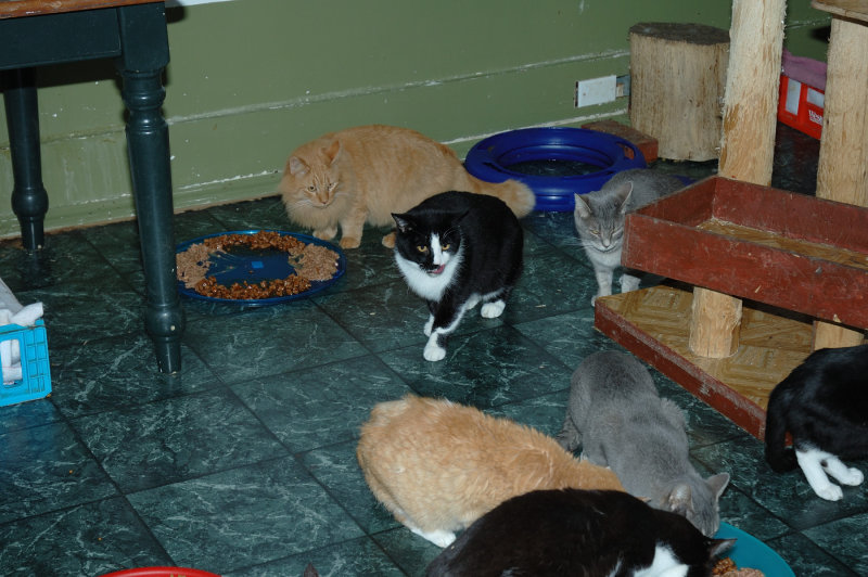 DSC_5441.JPG