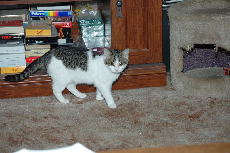 DSC_5453.JPG