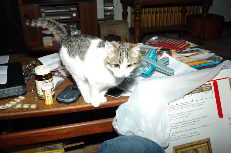 DSC_5455.JPG