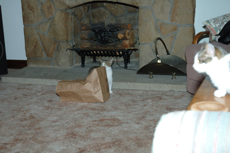 DSC_5457.JPG
