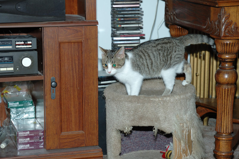 DSC_5460.JPG