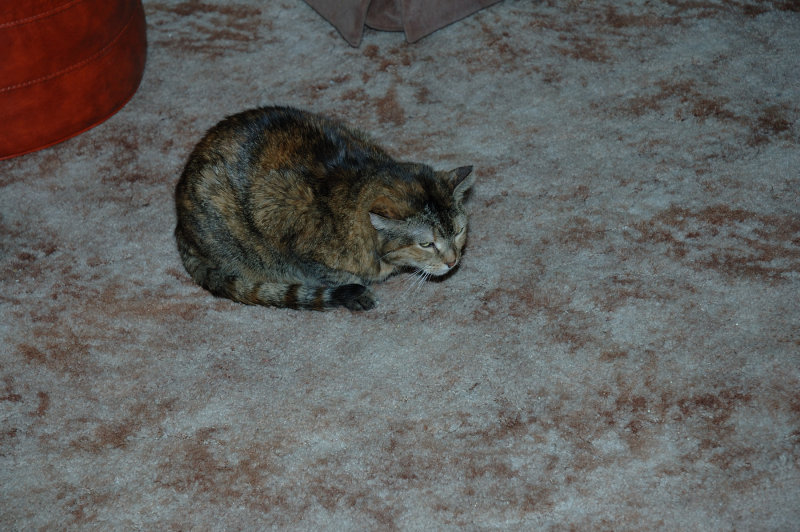 DSC_5561.JPG