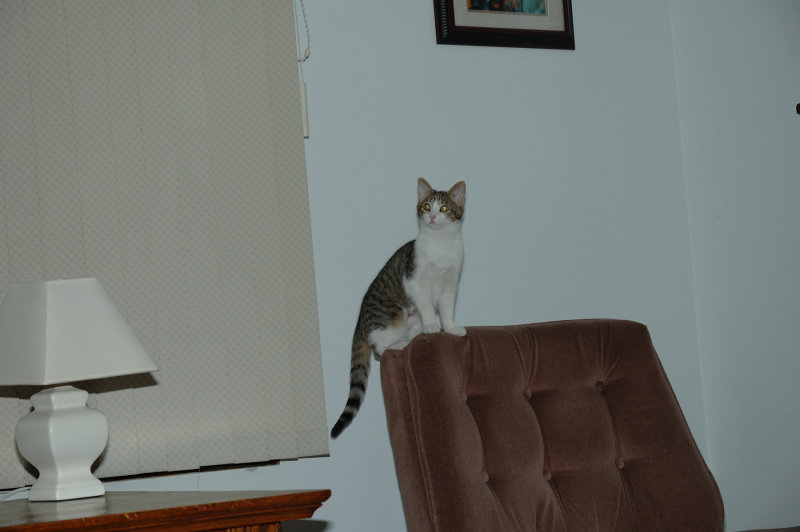 DSC_5569.JPG