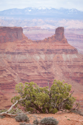 Dead Horse Point 4