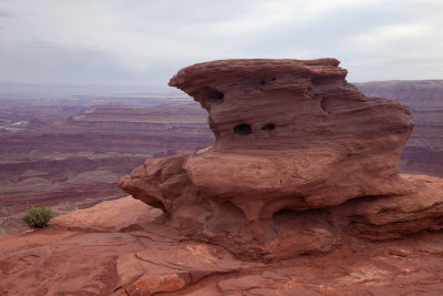 Dead Horse Point 10