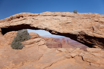 Mesa Arch 7