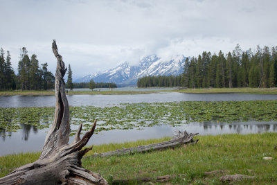 Hermitage Point hike 1