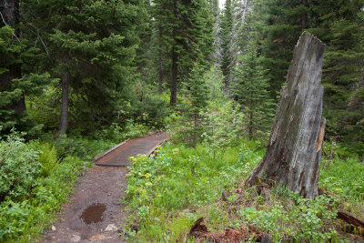 Cascade Canyon trail 7