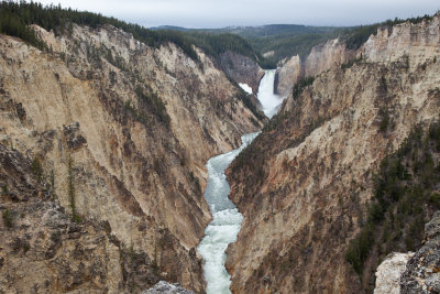 Yellowstone Lower Falls 1