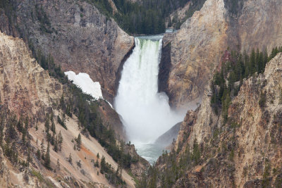 Yellowstone Lower Falls 2