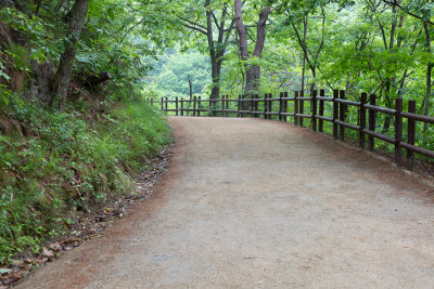 주왕산 path 1