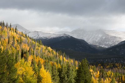 Rocky Mountain mountain fall colors 1