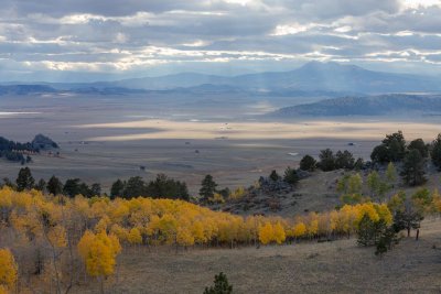 Park County fall trees 4