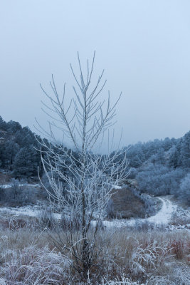 Valley frost 9