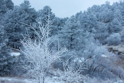 Valley frost 5