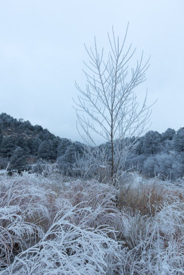 Valley frost 2