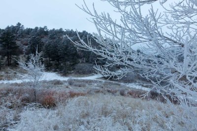 Valley frost 1