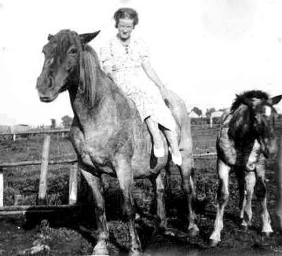 Hildegard_Bessel_Horse.jpg